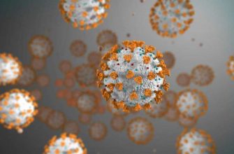 «Инвитро» запускает сервис для отслеживания результатов тестирования на антитела к коронавирусу в Росси